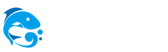 新球体育